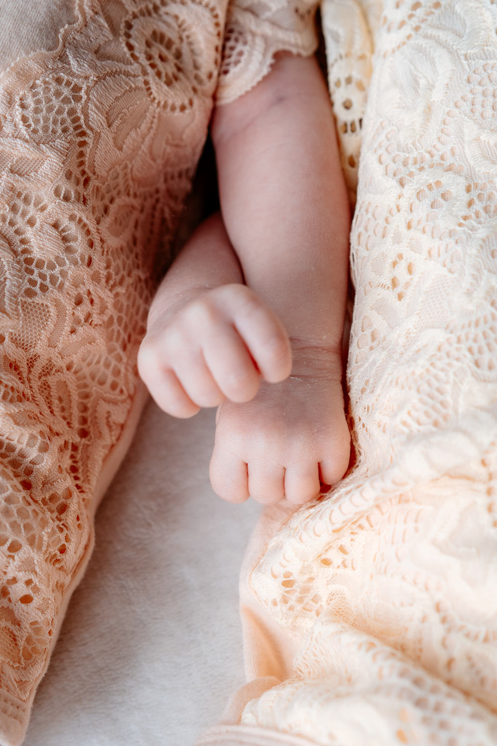 Babyfotos: Zwei Babys liegen nebeneinander und halten sich liebevoll an den Händen – inniger Moment der Neugeborenenfotografie